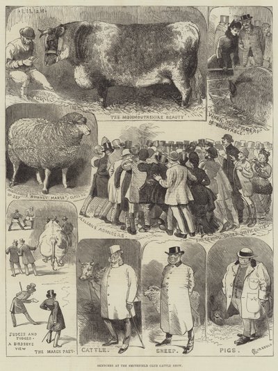Sketches at the Smithfield Club Cattle Show by Alfred Courbould